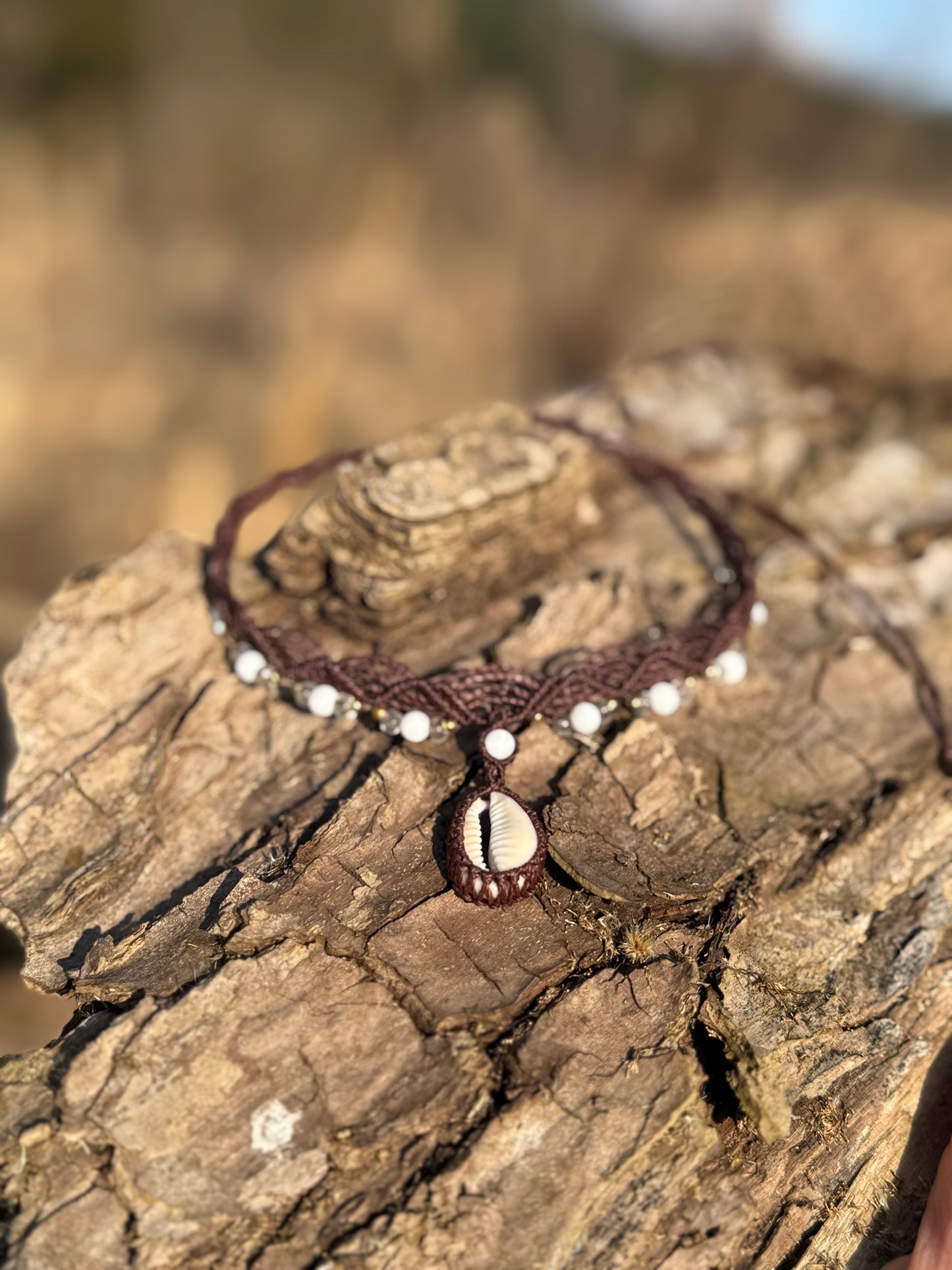 Mondmuschel🌙🐚✨